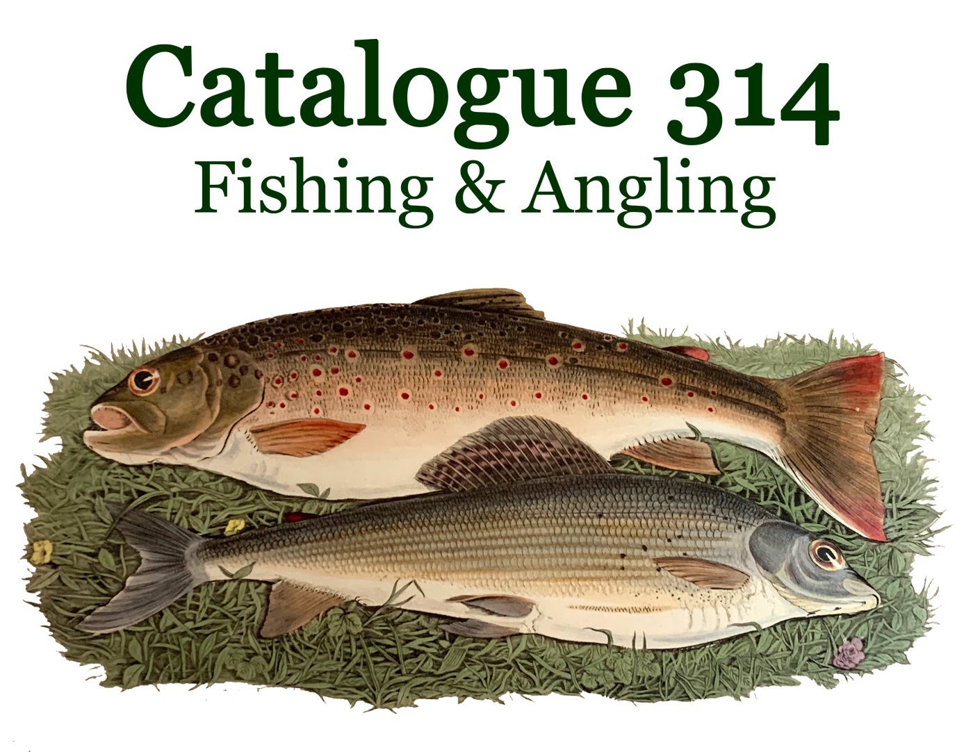 314 - Fishing & Angling