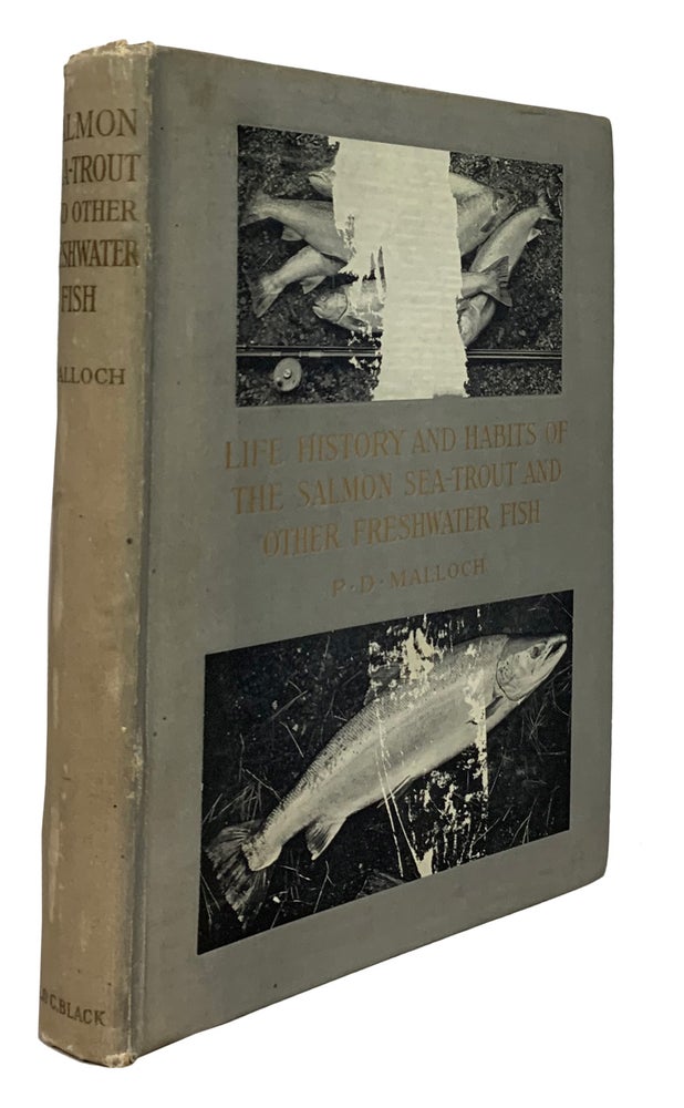 Item #34352 Life History and Habits of the Salmon,Sea-Trout and Other Fresh Water Fish. P. D. MALLOCH.