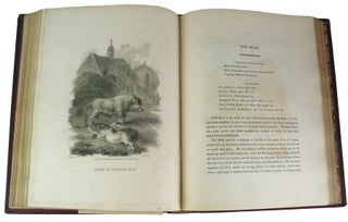 A Cabinet of Quadrupeds. Description. Consistingof Highly-Finished Engravings, by James Tookey; from drawings by JuliusIbbetson; with Historical and Scientific Descriptions, by John Church.