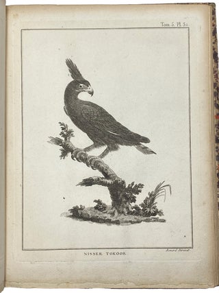 Cartes et Figures du Voyage en Nubie et en Abyssinie.