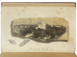 Dura Den: A Monograph of the Yellow Sandstone and its Remarkable Fossil Remains.