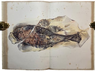 Dura Den: A Monograph of the Yellow Sandstone and its Remarkable Fossil Remains.